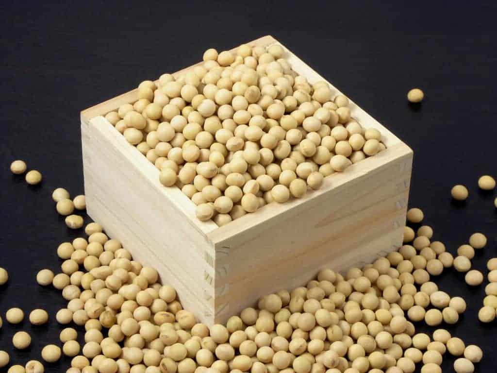 soy beans - What is miso made of? soy beans are main ingredients of miso
